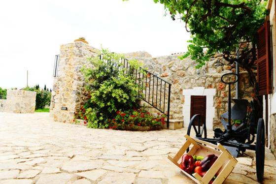 Holiday Home Finca Son Ramon Llubí Extérieur photo